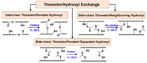 Thermal Metamorphosis in (Meth)acrylate Photopolymers: Stress Relaxation, Reshaping, and Second-Stage Reaction — graphical abstract