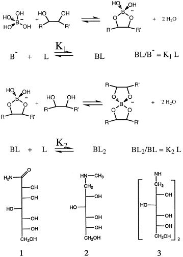 Thermodynamics of borate ester formation by three readily grafted carbohydrates — graphical abstract