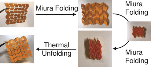 Thermoreversible Folding as a Route to the Unique Shape-Memory Character in Ductile Polymer Networks — graphical abstract