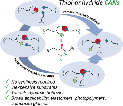 Thiol–Anhydride Dynamic Reversible Networks — graphical abstract