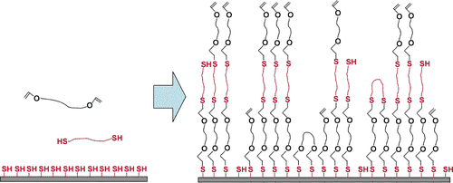 Thiol−Ene Photopolymer Grafts on Functionalized Glass and Silicon Surfaces — graphical abstract