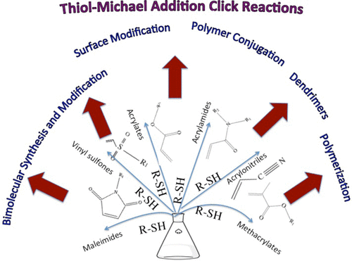 Thiol-Michael addition miniemulsion polymerizations: functional nanoparticles and reactive latex films — graphical abstract