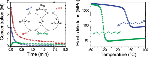 Thiol−Yne Photopolymerizations: Novel Mechanism, Kinetics, and Step-Growth Formation of Highly Cross-Linked Networks — graphical abstract