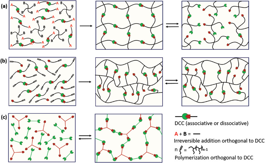 Toward Stimuli‐Responsive Dynamic Thermosets through Continuous Development and Improvements in Covalent Adaptable Networks (CANs) — graphical abstract