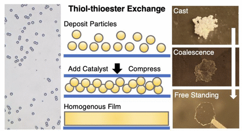 Tunable Surfaces and Films from Thioester Containing Microparticles — graphical abstract