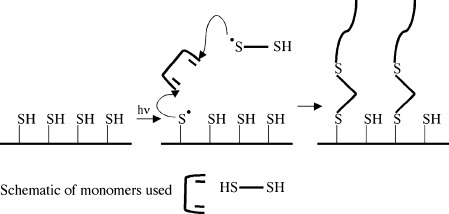 Ultrathin gradient films using thiol‐ene polymerizations — graphical abstract