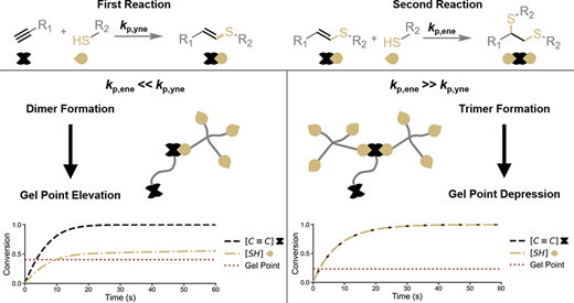 Understanding Relative Reactivity-Governed Kinetics and Network Formation in Thiol-Yne and Other Competitive Consecutive Polymerizations — graphical abstract