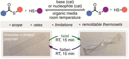 A user's guide to the thiol-thioester exchange in organic media: scope, limitations, and applications in material science — graphical abstract