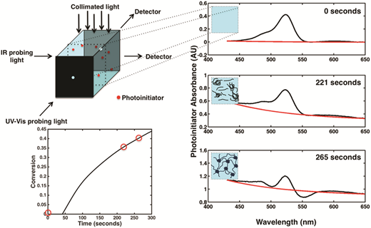 UV-Vis/FT-NIR in situ monitoring of visible-light induced polymerization of PEGDA hydrogels initiated by eosin/triethanolamine/O                    <sub>2</sub> — graphical abstract