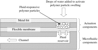 A water-activated pump for portable microfluidic applications — graphical abstract