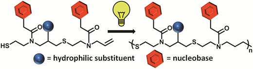 Water-soluble clickable nucleic acid (CNA) polymer synthesis by functionalizing the pendant hydroxyl — graphical abstract