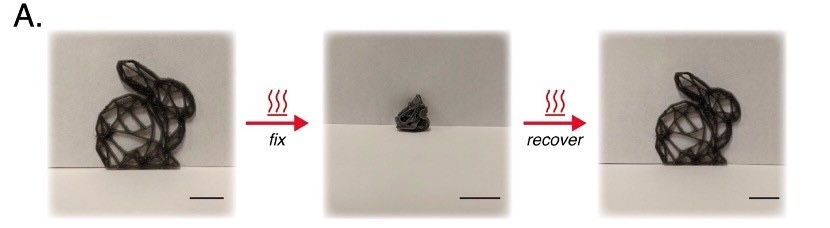 A 3D-printed lattice bunny collapsed into a compact shape on heating, then recovering its original form on a second heating