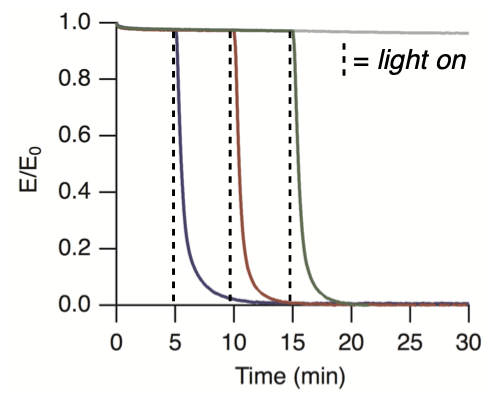 Covalent Adaptable Networks
