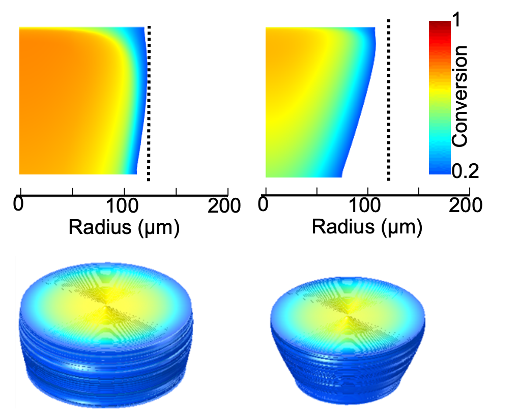 Simulated conversion profiles across a photopolymerizing sample: colour maps of conversion versus radius alongside three-dimensional renderings of the cured part