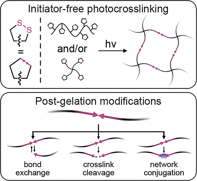 Covalent Adaptable Networks